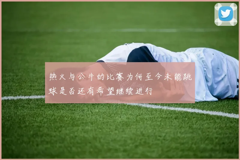 热火与公牛的比赛为何至今未能跳球是否还有希望继续进行