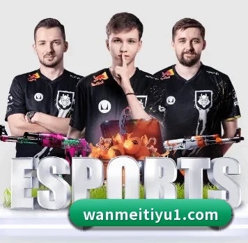 完美体育 APP 界面 - wmsports